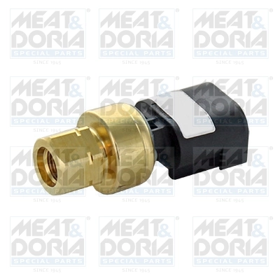 Sensor, fuel pressure